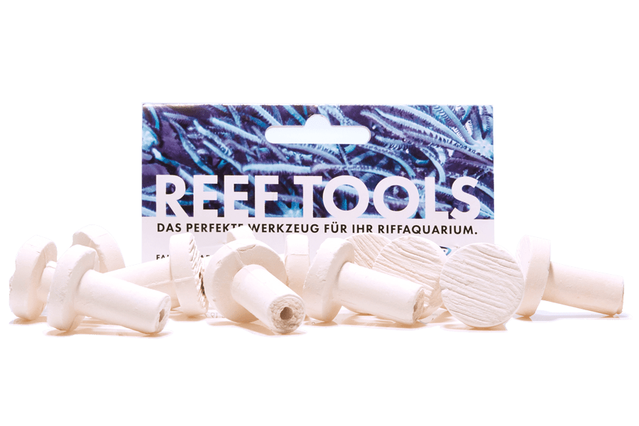 Reef Disc Mini 2,0 cm à - Mini Ablegersteine - 50stk / pcs