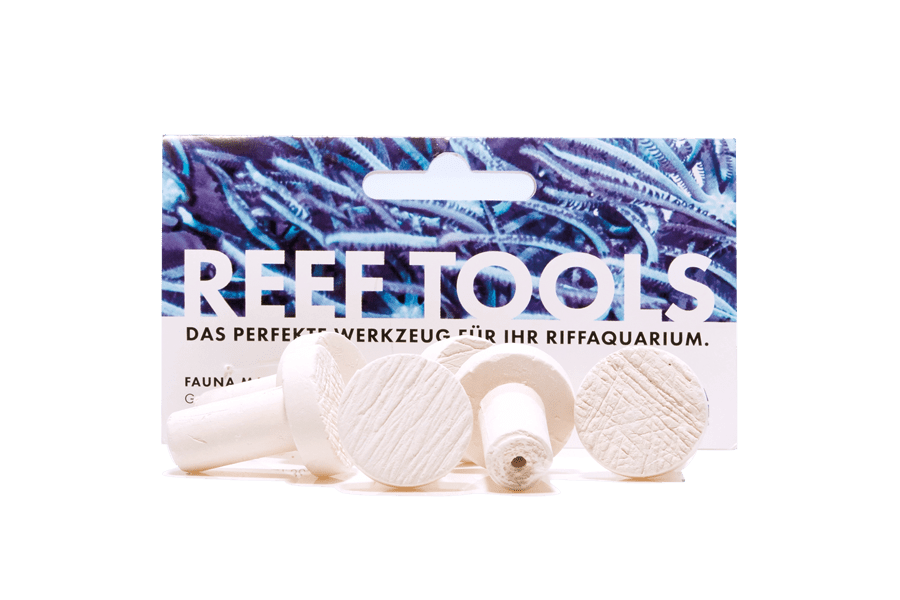 Reef Disc Mini 2,0 cm à - Mini Ablegersteine - 6stk / pcs