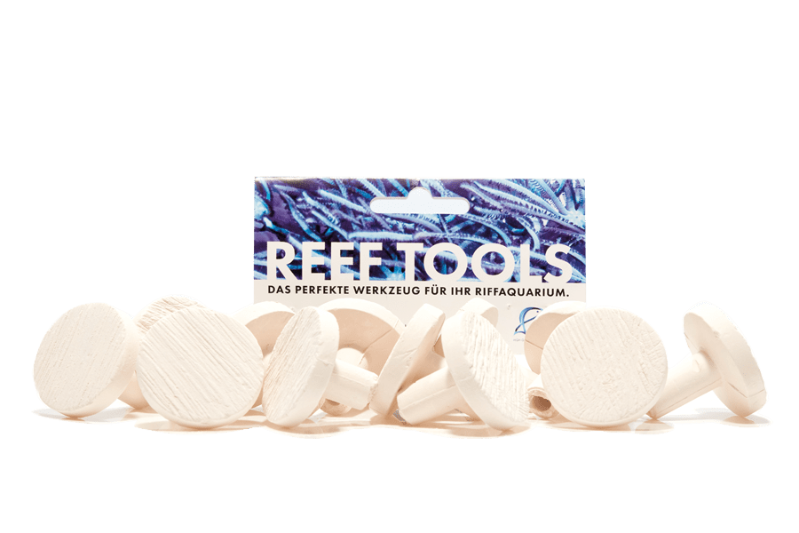 Reef Disc Maxi 3,3 cm à - Maxi Ablegersteine - 6stk / pcs