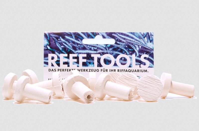 Reef Disc Mini 2,0 cm à - Mini Ablegersteine - 12stk / pcs