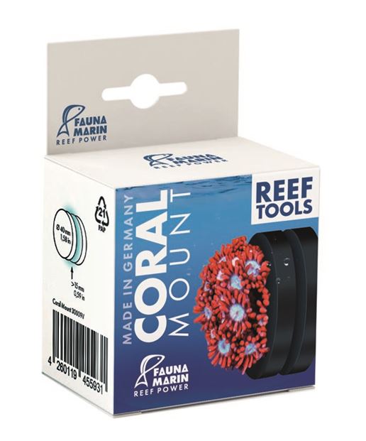 Coral Mount á 4cm - Magnet für Korallen mit / ohne Plug