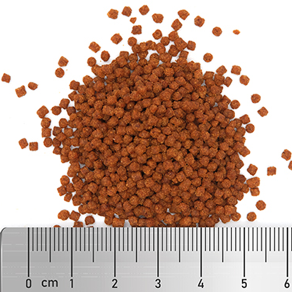 Soft Protein Superfood