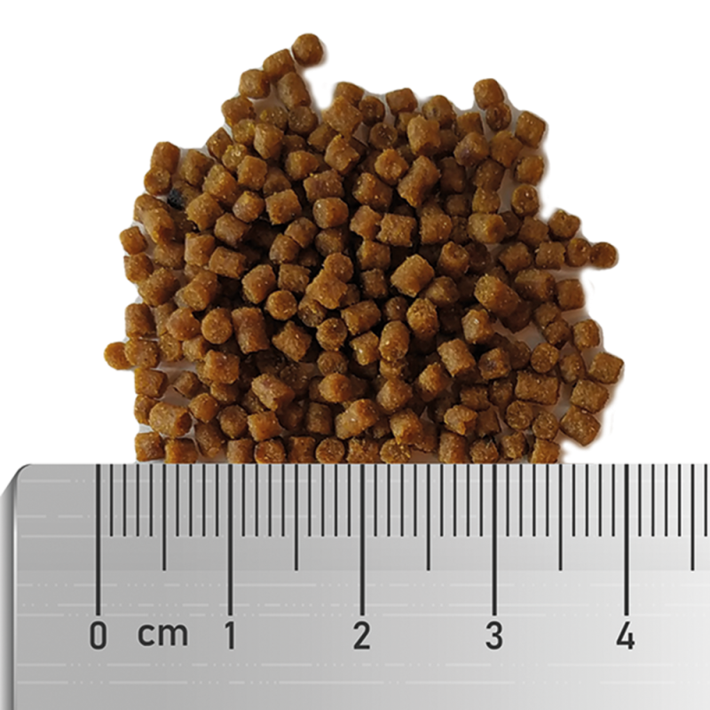 Soft Clownfish Food