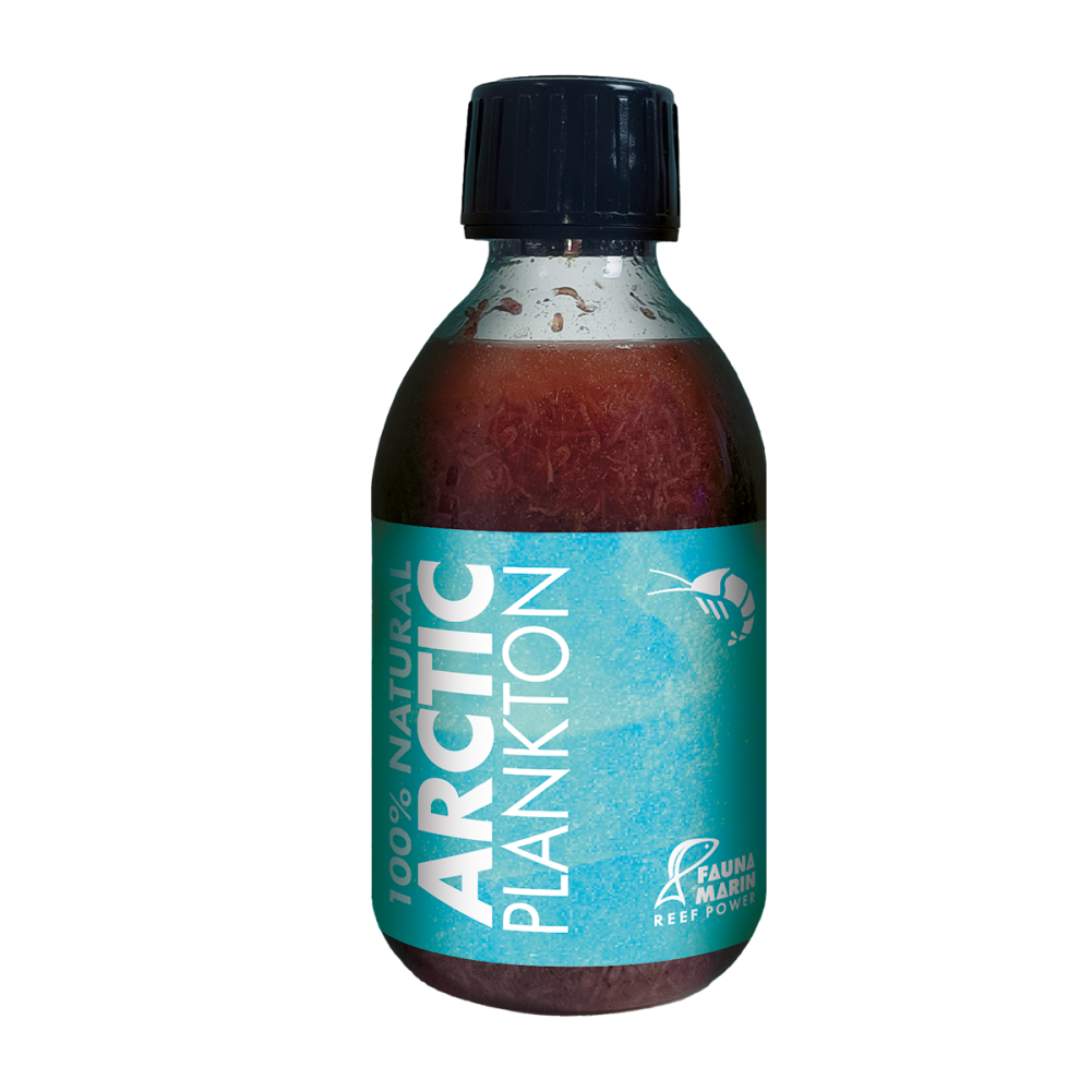 Arctic Plankton