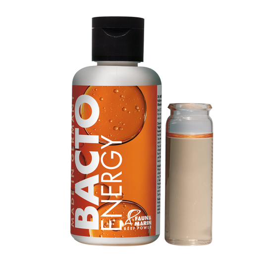 Bacto Energy - Nährkonzentrat