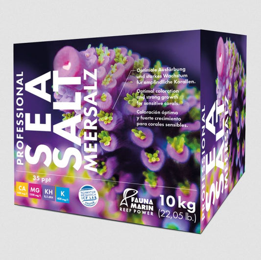 Professional Sea Salt - Karton