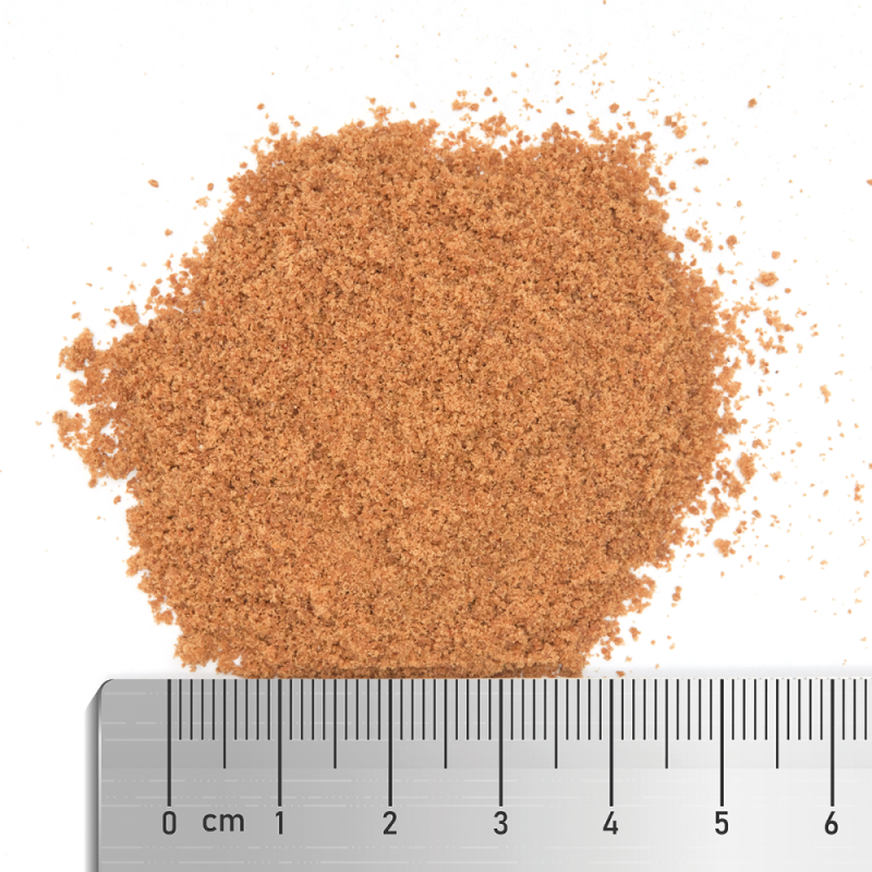 Coral Dust