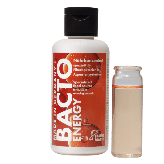 Bacto Energy - Nährkonzentrat -100 ml