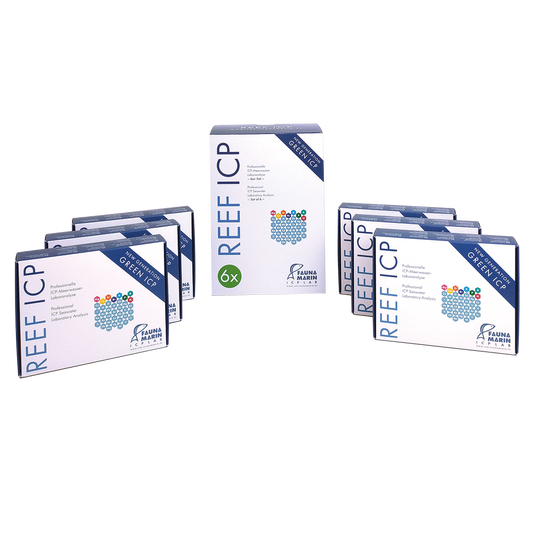 Reef ICP 6er-Set - ICP SOMMERAKTION - Bis 10. August