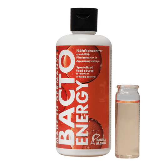 Bacto Energy - Nährkonzentrat - 250 ml