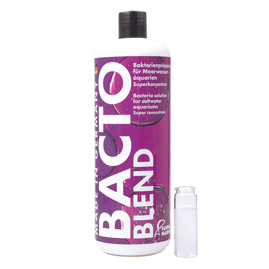 Bacto Blend - Riff Bakterien - 1000 ml