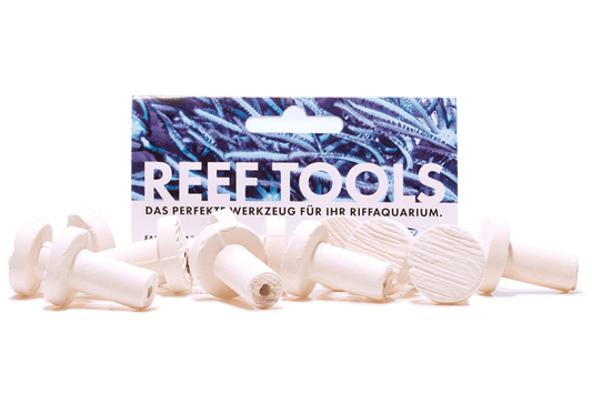 Reef Disc Mini 2,0 cm Ã - Mini Ablegersteine - 50stk / pcs
