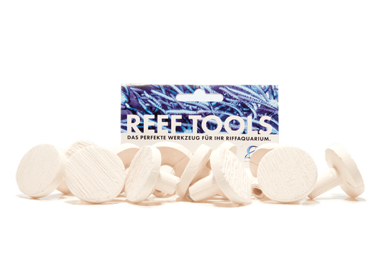 Reef Disc Maxi 3,3 cm Ã - Maxi Ablegersteine - 6stk / pcs