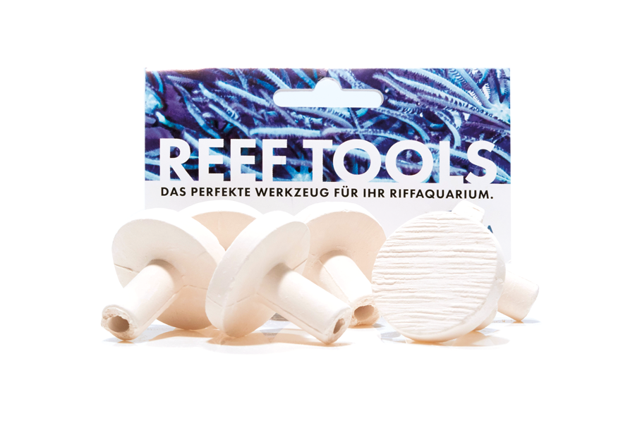 Reef Disc Maxi 3,3 cm Ã - Maxi Ablegersteine - 50stk / pcs