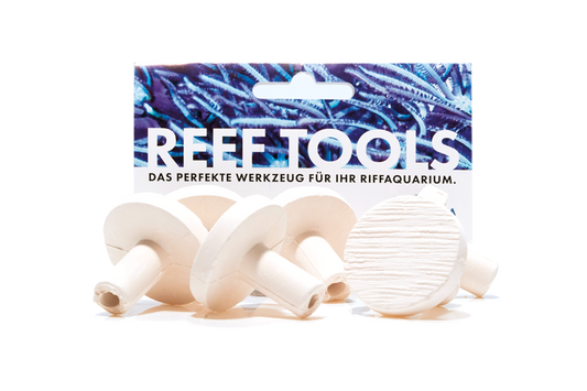 Reef Disc Maxi 3,3 cm Ã - Maxi Ablegersteine - 50stk / pcs