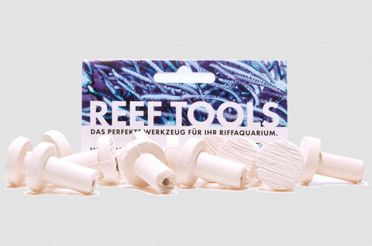 Reef Disc Mini 2,0 cm Ã - Mini Ablegersteine - 12stk / pcs