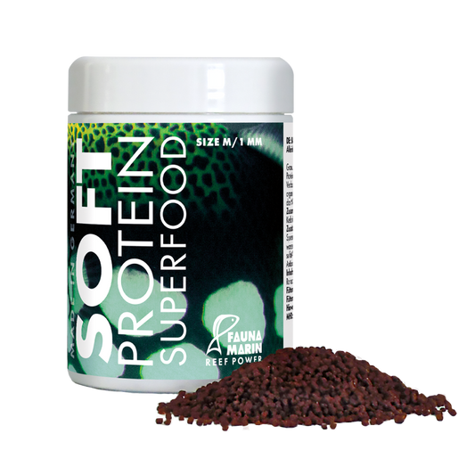 Soft Protein Superfood
