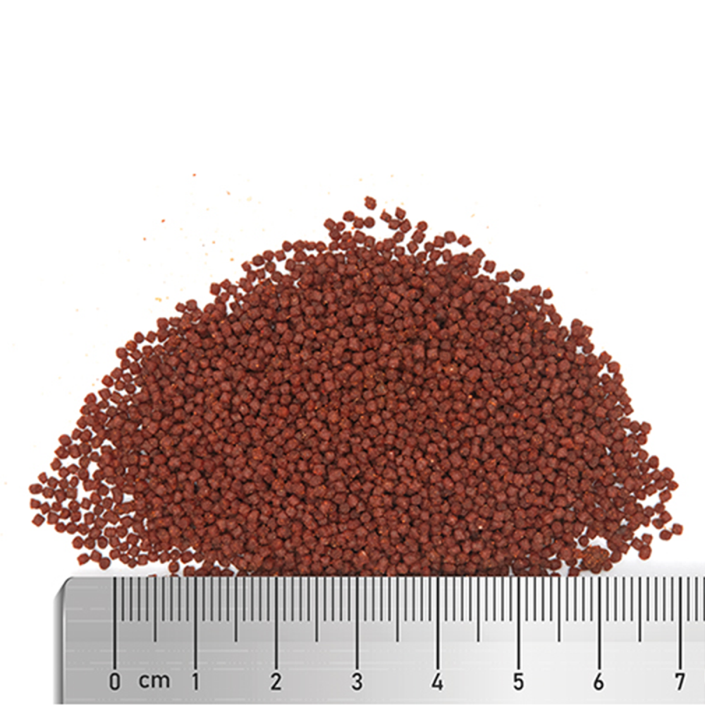 Soft Protein Superfood