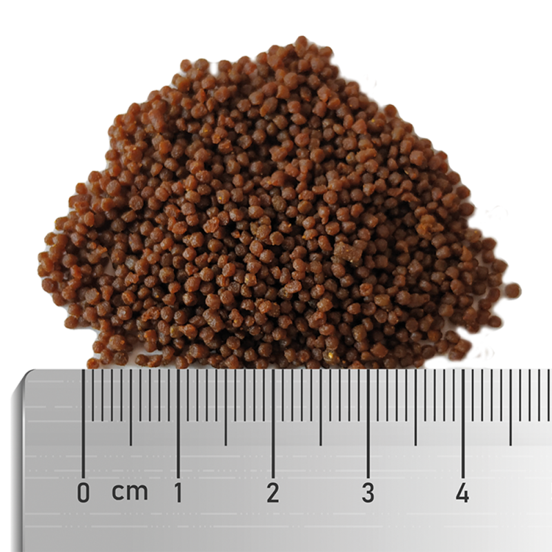 Soft Clownfish Food