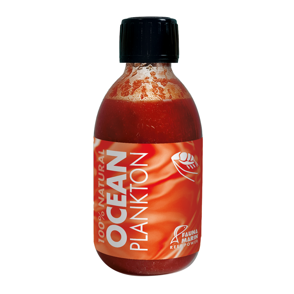 Ocean Plankton