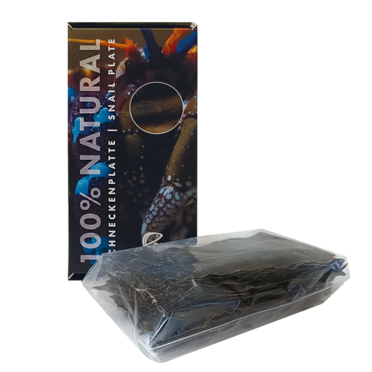 Schneckenplatte - Spezialdauerfutter - 23 g