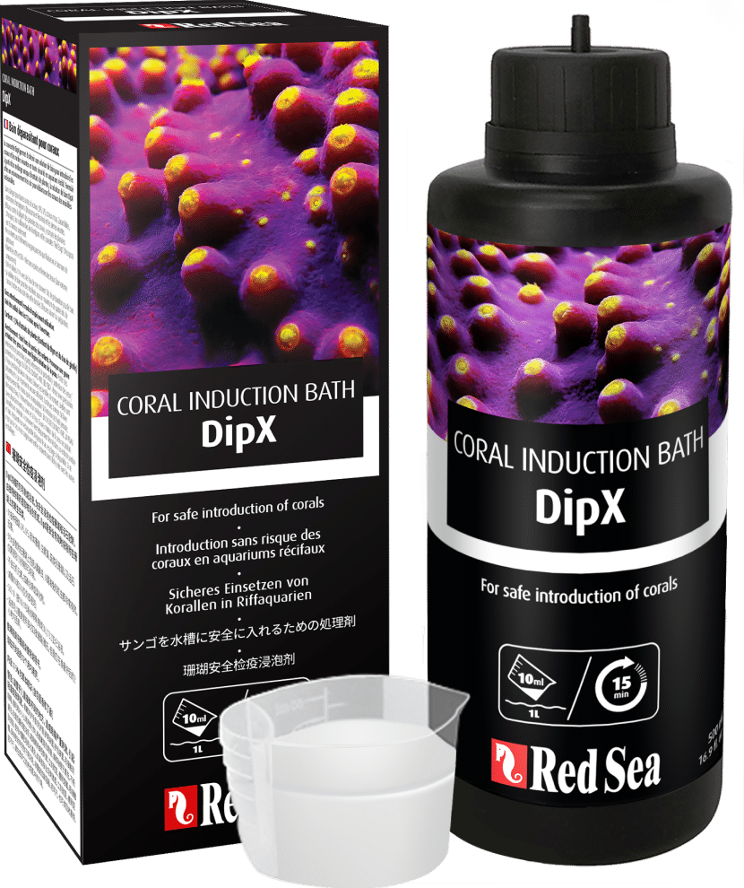 DipX