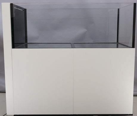 Aquaperfekt Reeftank Raumteiler
