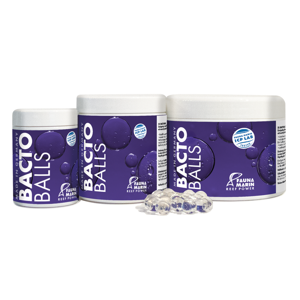 Bacto Balls - Bakterien Kugeln