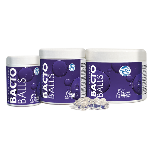 Bacto Balls - Bakterien Kugeln