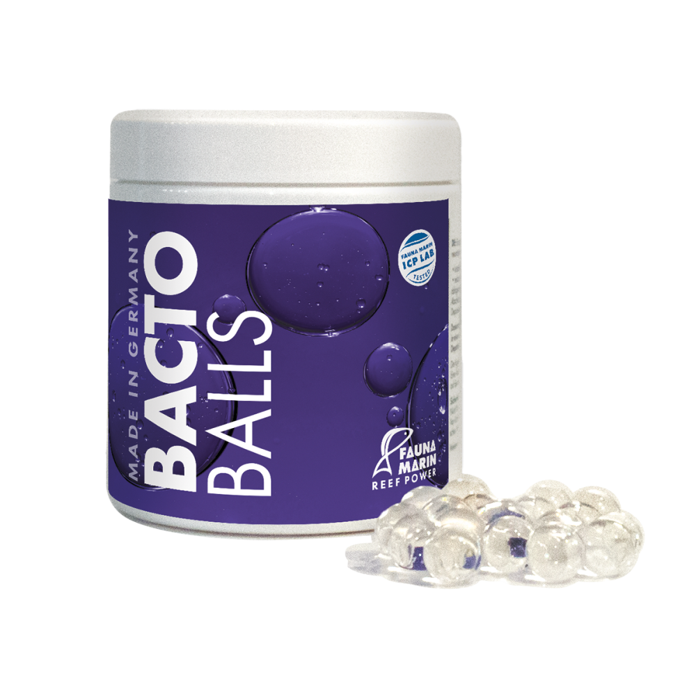 Bacto Balls - Bakterien Kugeln