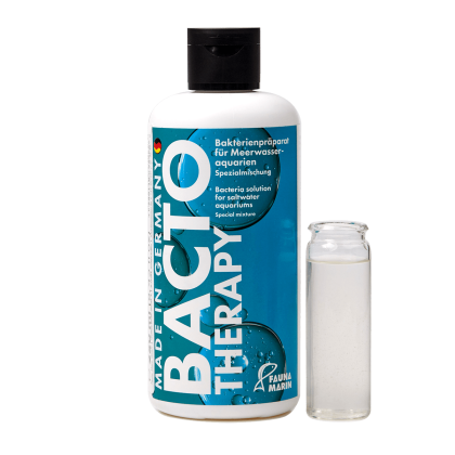 Bacto Therapy - Therapie Bakterien
