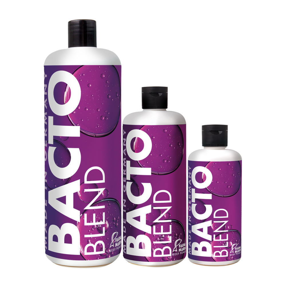Bacto Blend - Riff Bakterien