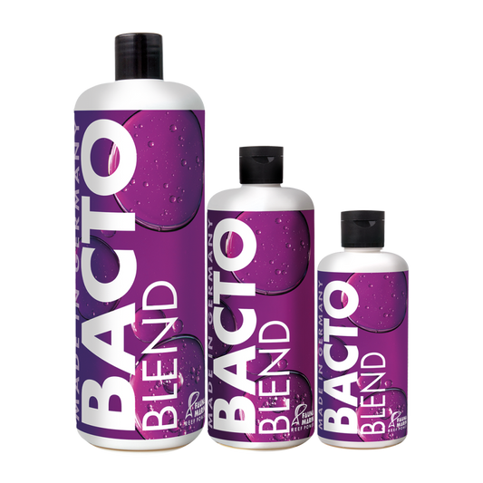 Bacto Blend - Riff Bakterien