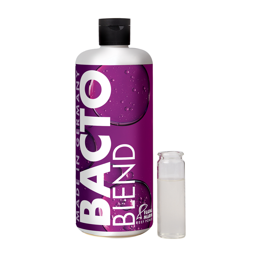 Bacto Blend - Riff Bakterien