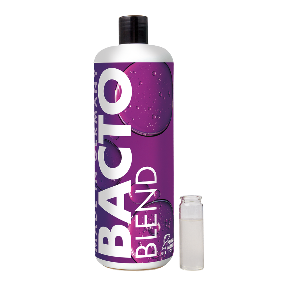 Bacto Blend - Riff Bakterien
