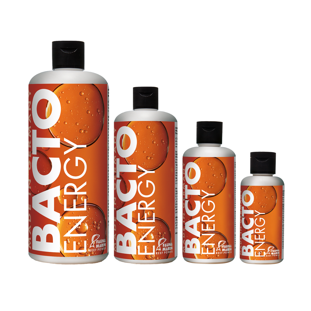 Bacto Energy - Nährkonzentrat