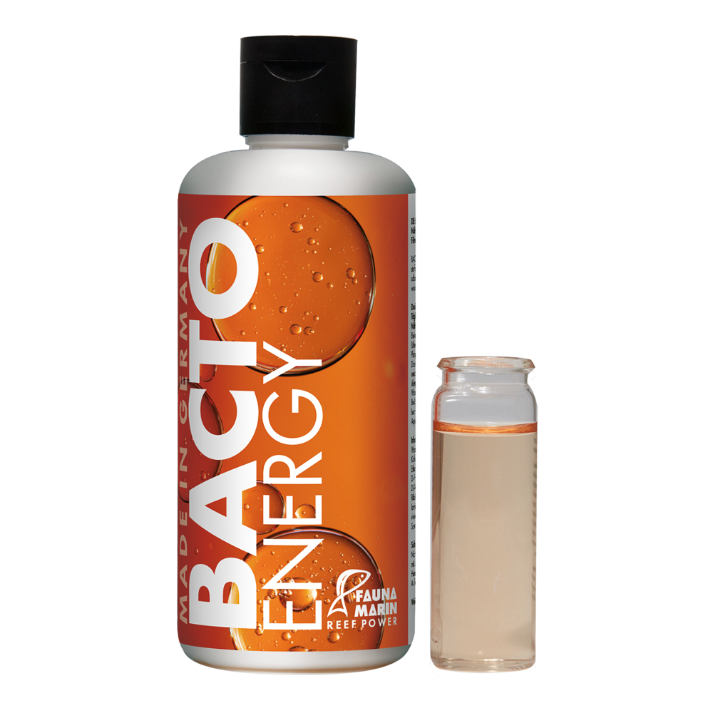 Bacto Energy - Nährkonzentrat