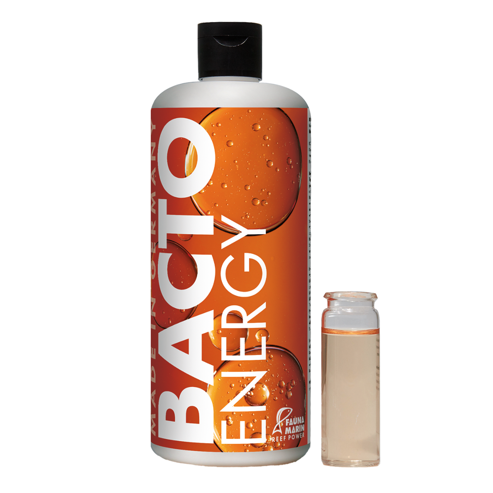 Bacto Energy - Nährkonzentrat