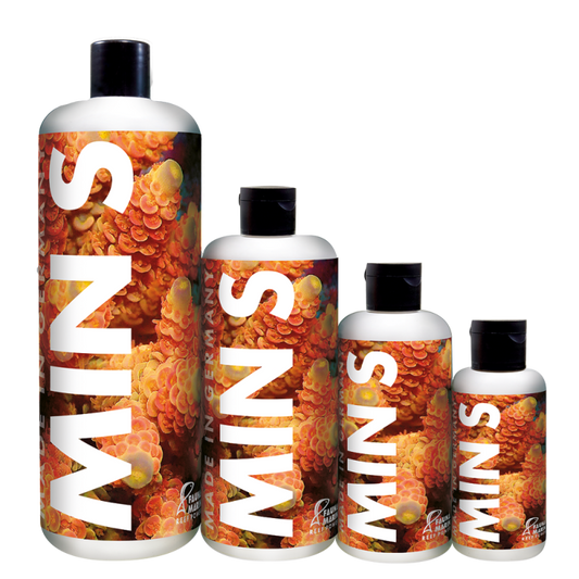 Min S - Korallenfutter Mix