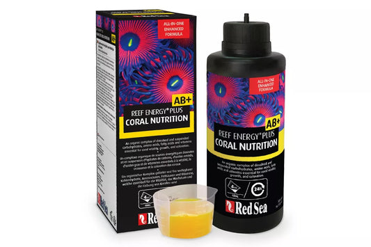Reef Energy® Plus
