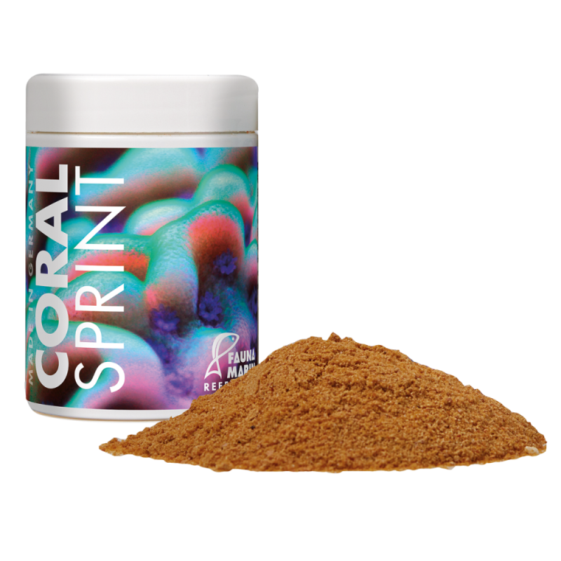 Coral Sprint