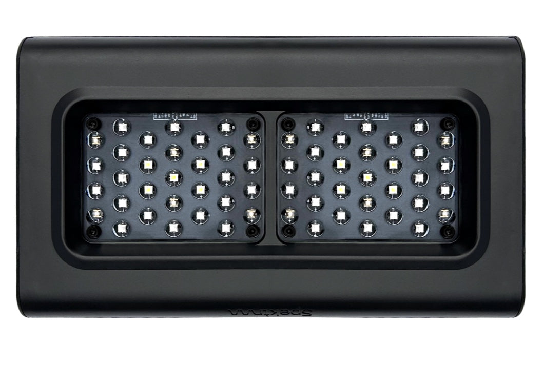 D-D Spektrum 150 LED Leuchte - Vorbestellung