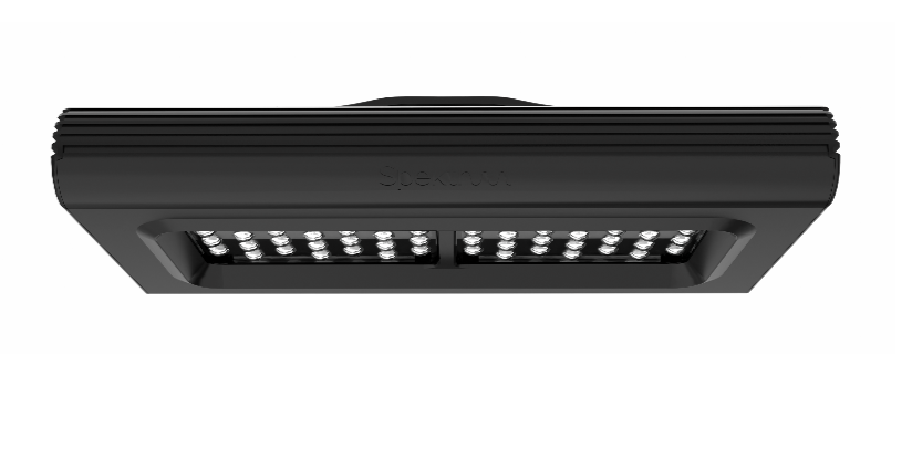 D-D Spektrum 150 LED Leuchte - Vorbestellung